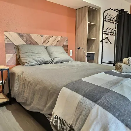 Le Coquelicot - Hyper-centre - Wifi - Calme דירה אלבי