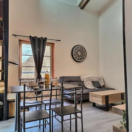 Apartman Le Coquelicot - Hyper-centre - Wifi - Calme Albi